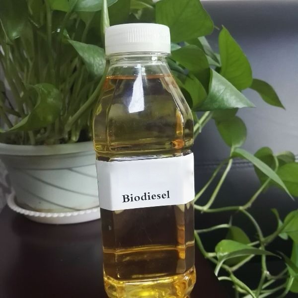 Premium Biodiesel